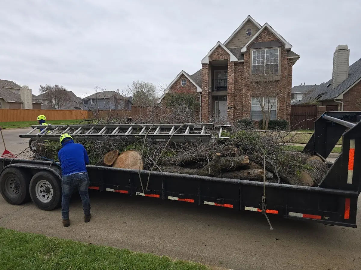 Expert Tree Fertilization with proper safety equipment in Friendship